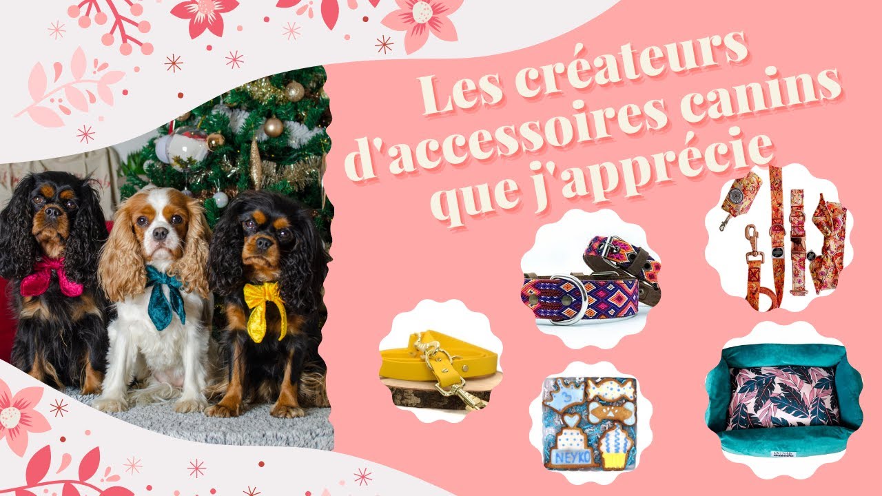 Les cr&eacute;ateurs d'accessoires canins que j'appr&eacute;cie + Concours ||CAVS OF BORDEAUX