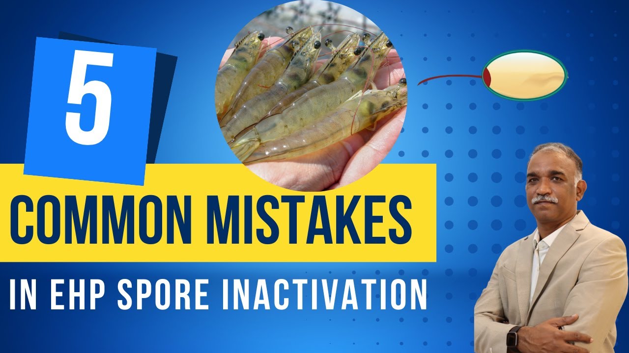 Practical Methods For EHP Spore Inactivation In Shrimp Ponds