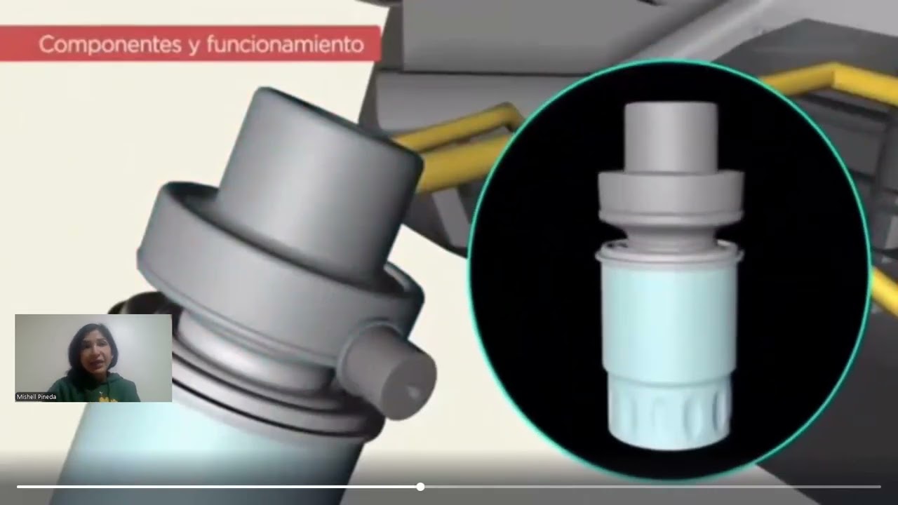 Lubricación Mishell