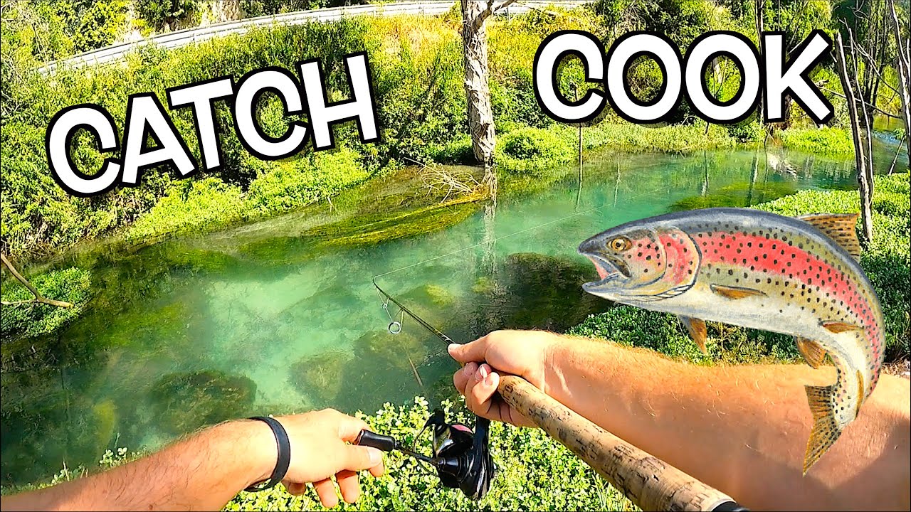 Catturo una GROSSA Trota in Torrente e me la MANGIO! Pesca a Light Spinning con Rotanti Catch & Cook