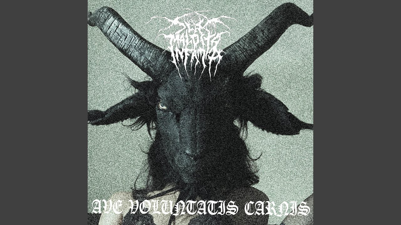 ¿ Qué Sabe de Amor una Bestia ?