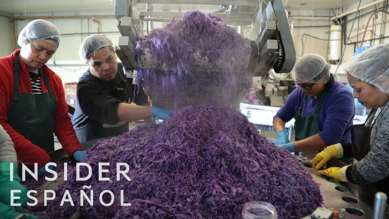 Así se hace el chucrut | Insider Español