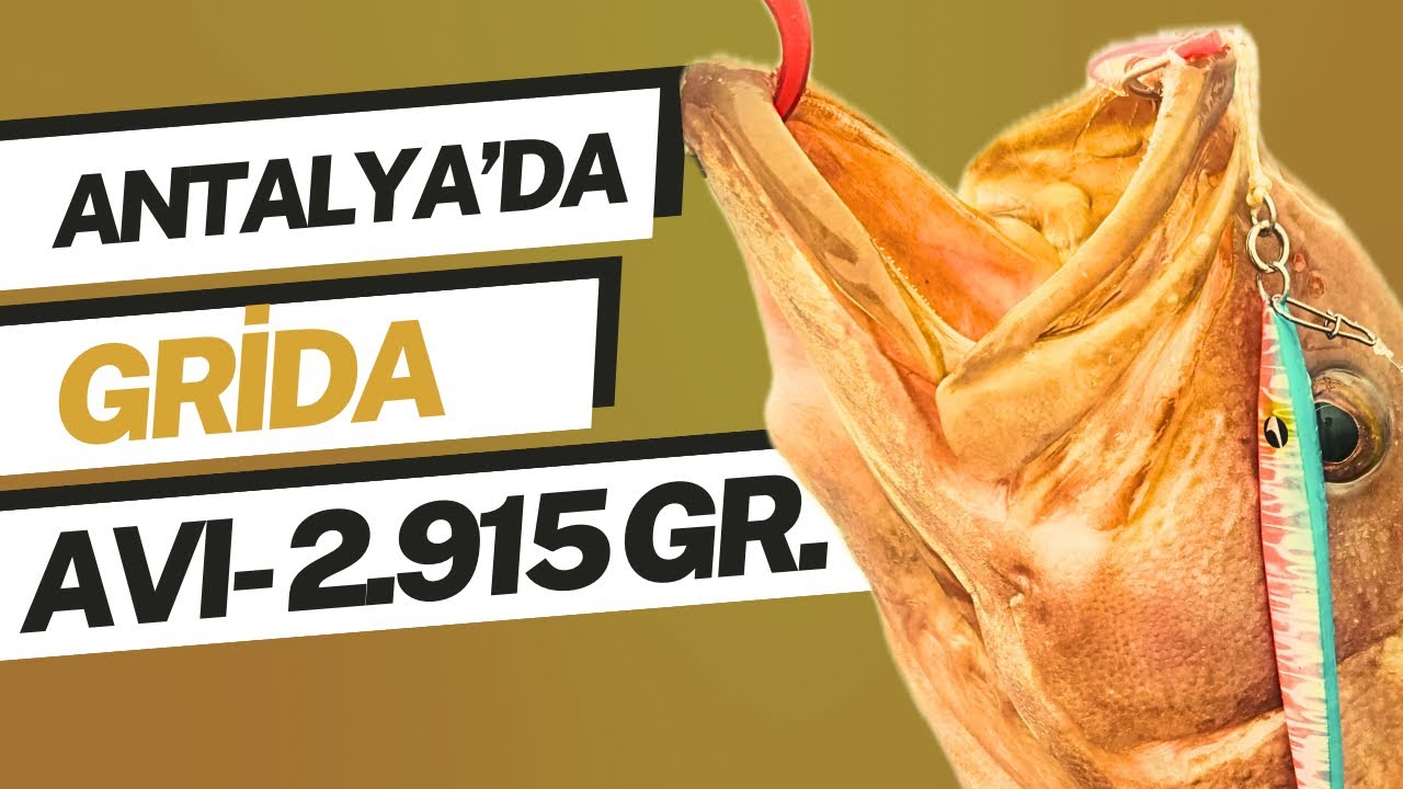 Antalya'da Denizaltı eşliğinde GRİDA AVI...
