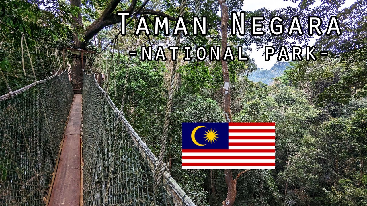 Taman Negara National Park - Malaysia