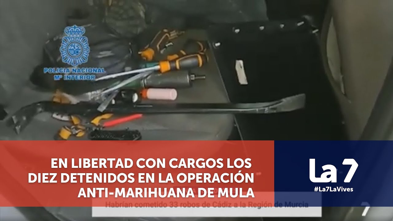 Espectacular arresto de unos ladrones que actuaban en Murcia | La 7