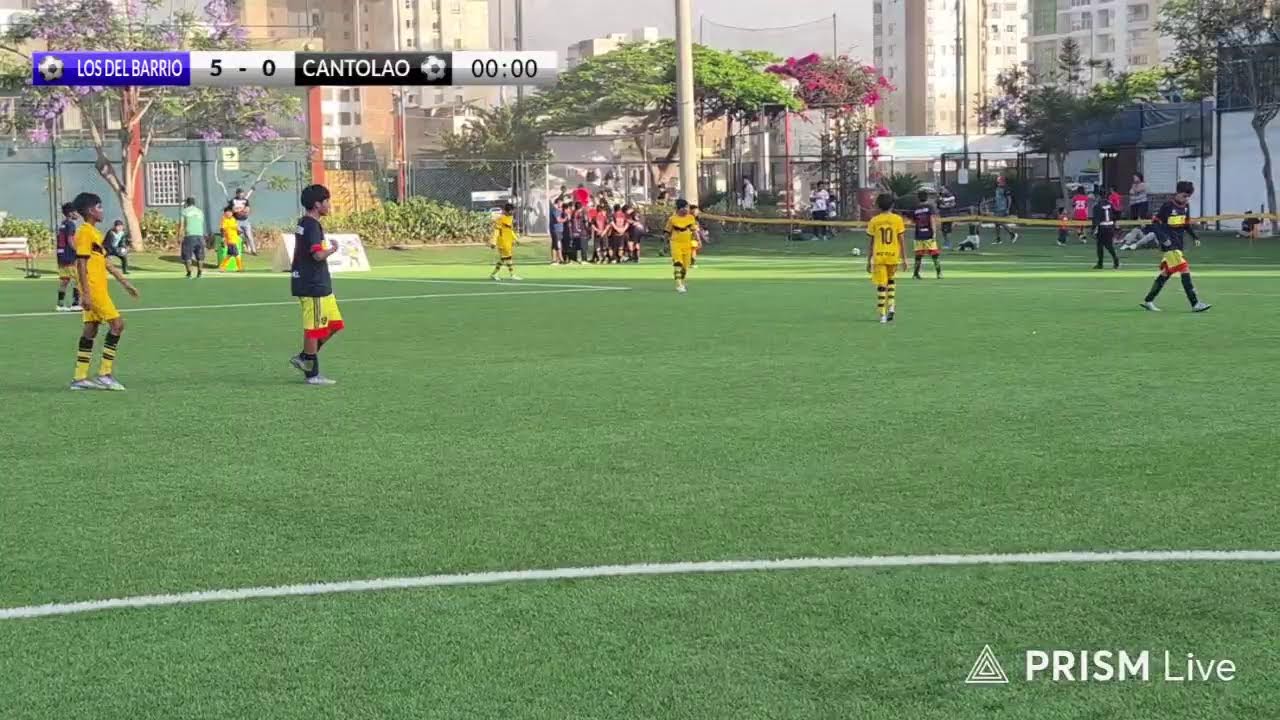 COPA AELU