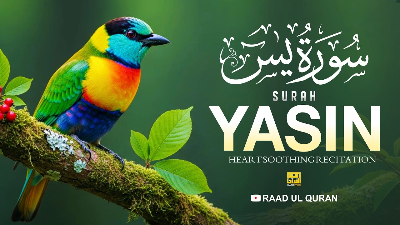 Surah Yasin سورة يس | Ramadan Heart Soothing Recitation | Raad Ul Quran | #surahyasin