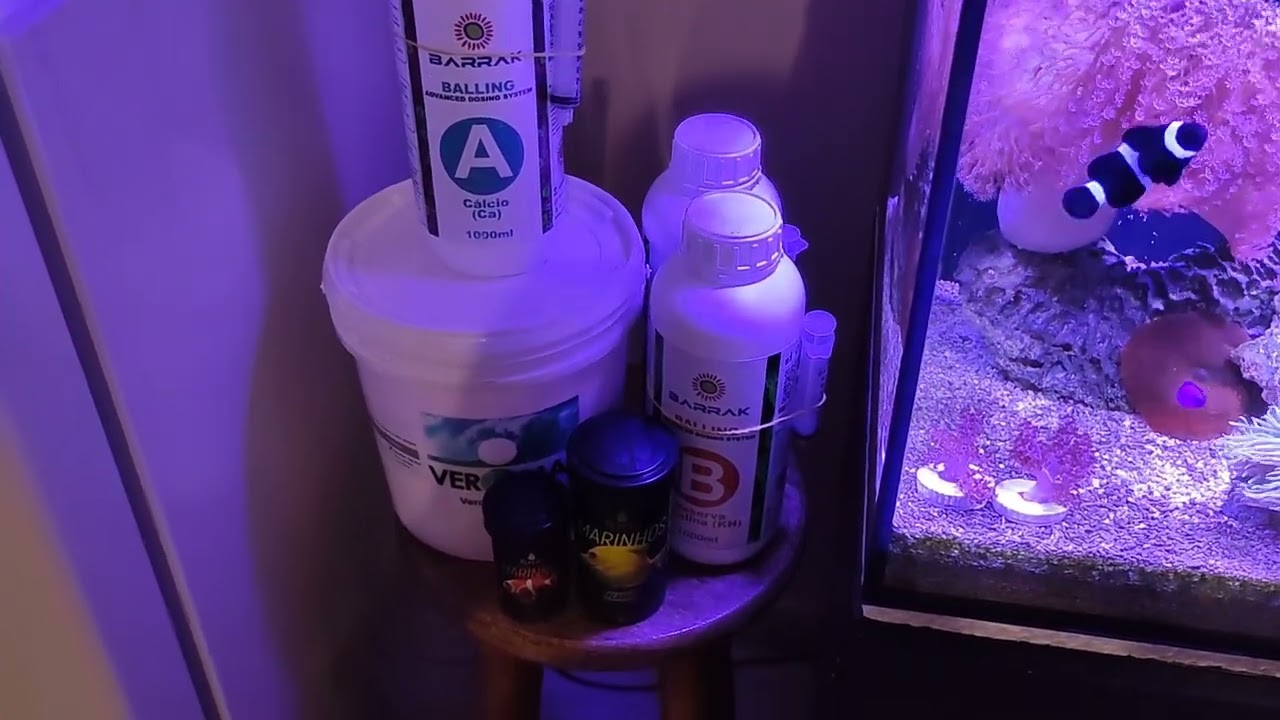Aquário Marinho / nano reef 40x40x40 / luminária forsfish 40w