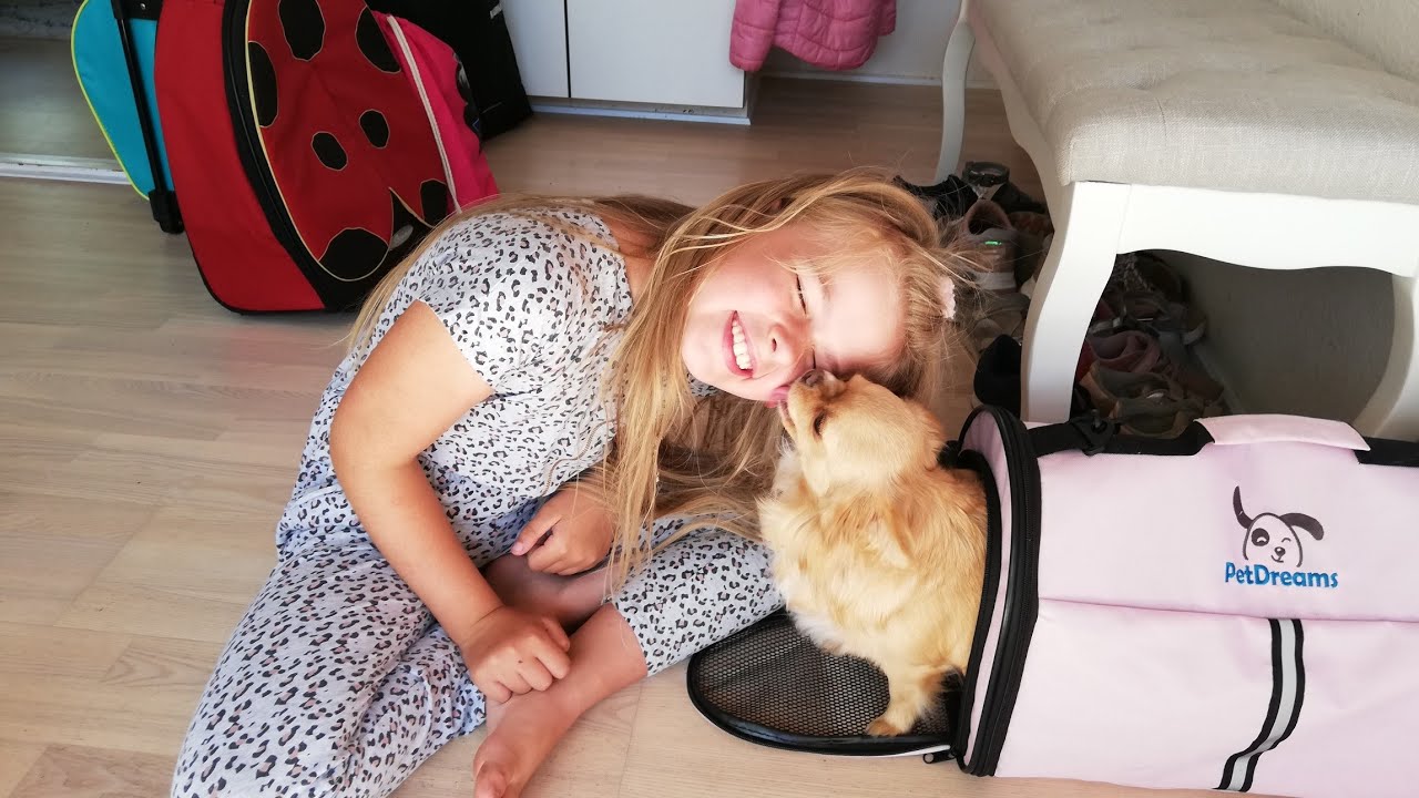 Vi pakker til Marielyst ☀️ Hundene slås om at komme med🐕🐕😱😬🥰
