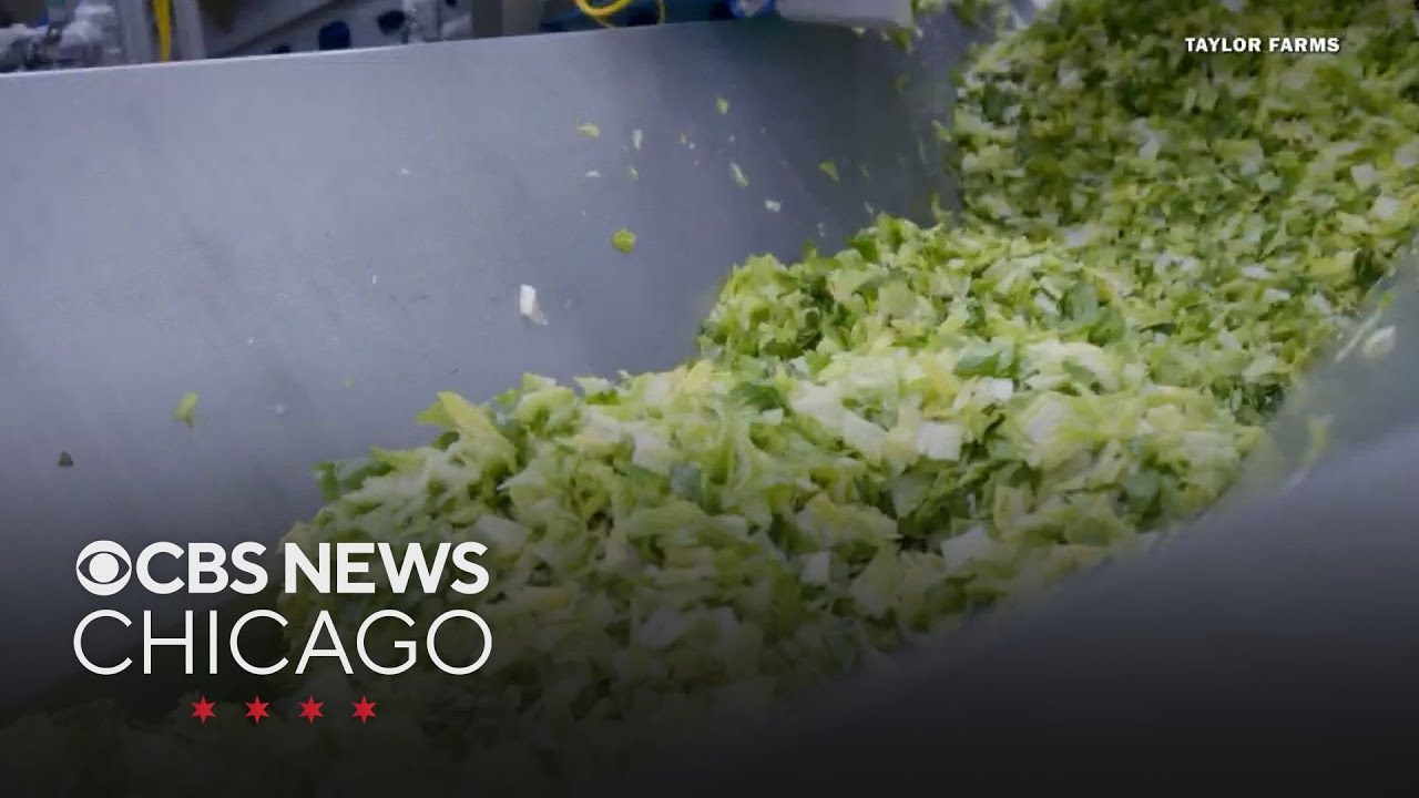 FDA investigating new cyclospora outbreak