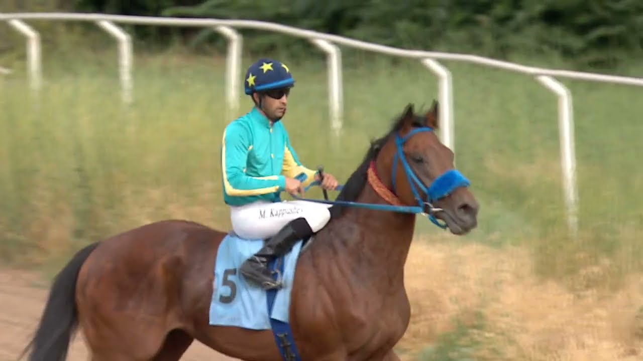 5я скачка. Приз Отан. 29 июня 2024.