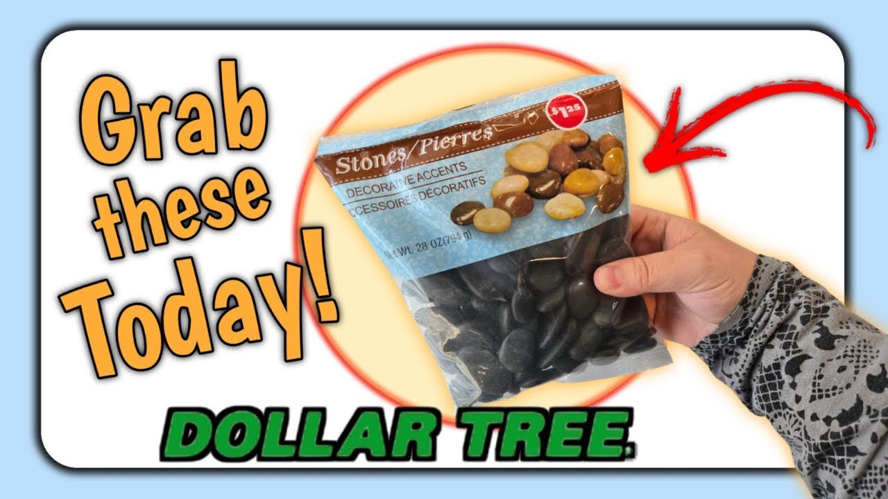 ✨ALL NEW✨ Summer DIYS | Dollar Tree DIYs with Rocks