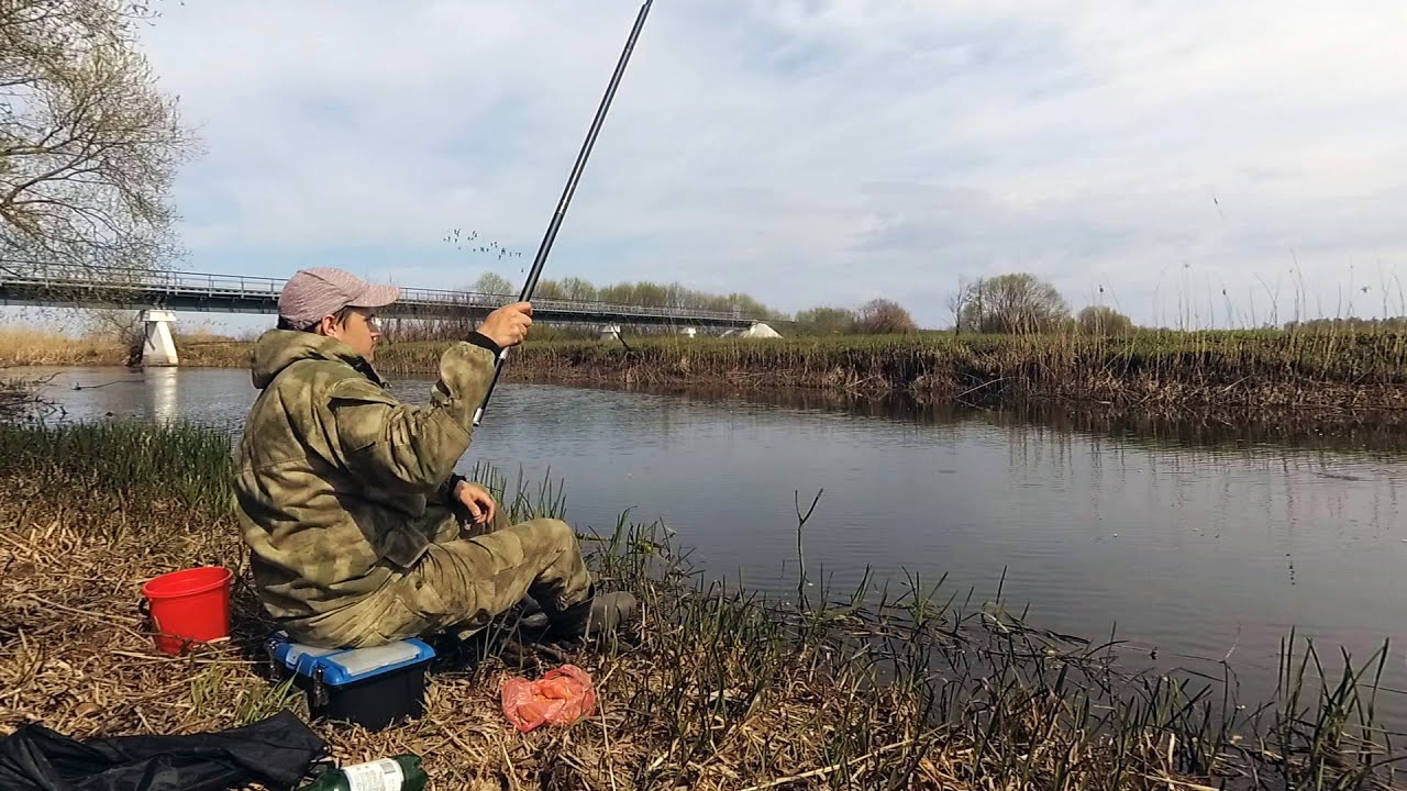 Река Птичь, рыбалка весной на маховую удочку