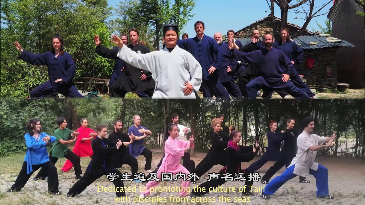 Tang Li Long Wudang Xuanwupai Gong Fu #kungfu