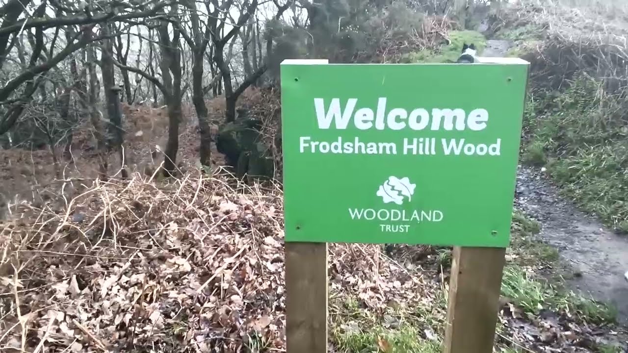 Frodsham Woods