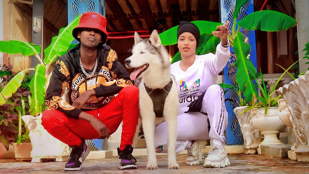 Aasto Boy Ft Niina Dance | Tolkeygow Iga So Gaara | Official Video