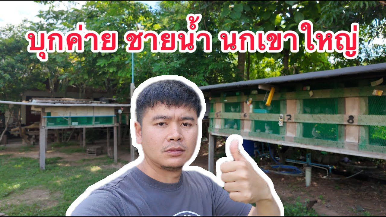 บุกค่าย 