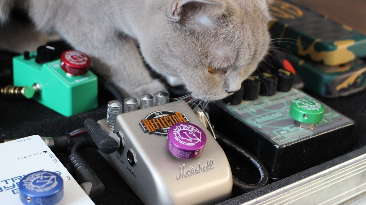 Testujemy Barefoot Buttons - Do Gitary TV