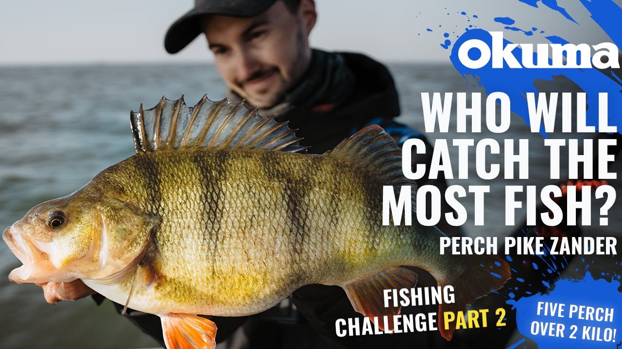 Epic fishing challenge - 5 PERCH over 2 kilo! PART 2