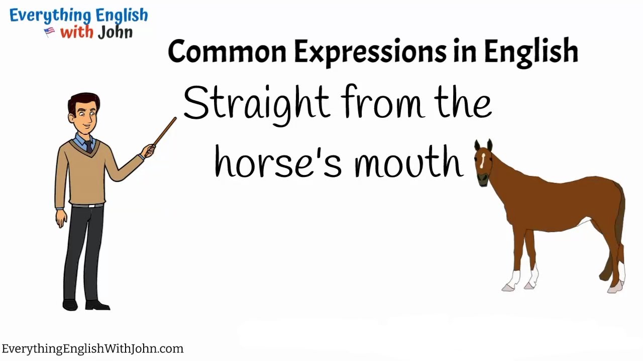 Straight From The Horse's Mouth: Common Expressions Daily Use #englishvocabulary