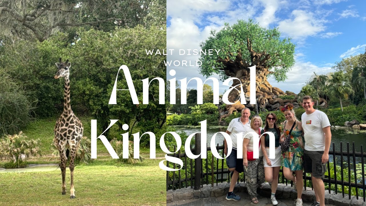 Animal Kingdom Vlog