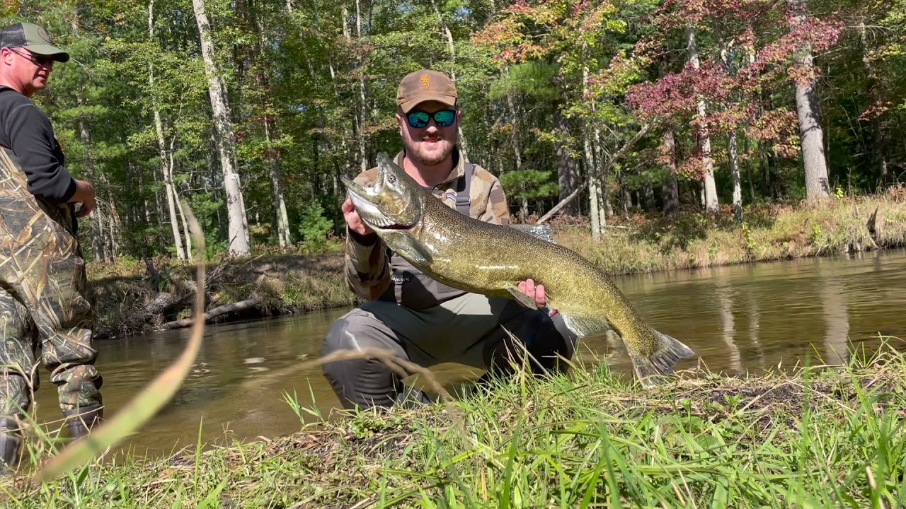 Fly Fishing for Salmon on the Pere Marquette