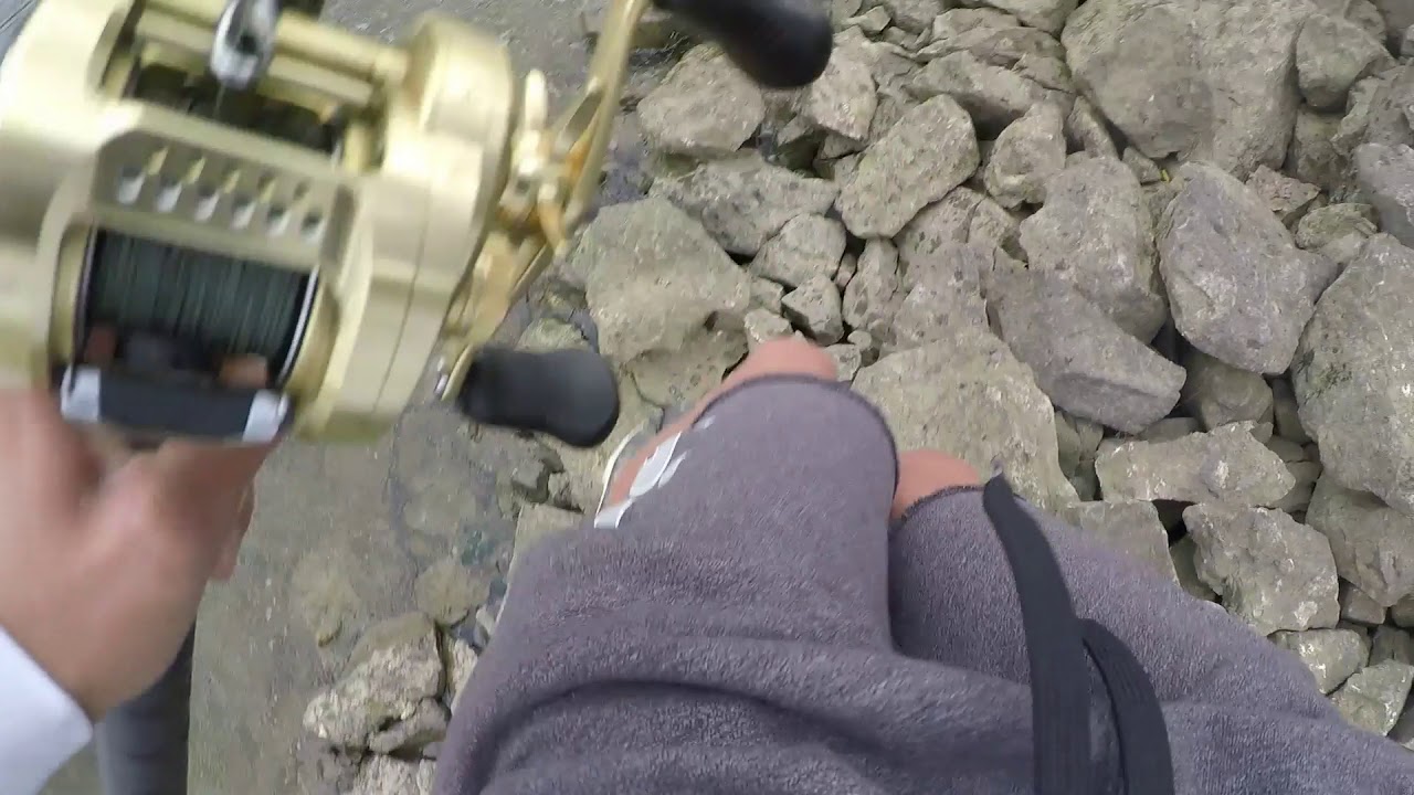 Big Musky Destroys Swimbait At Feet!! Cast2Catch DRT KLASH 9