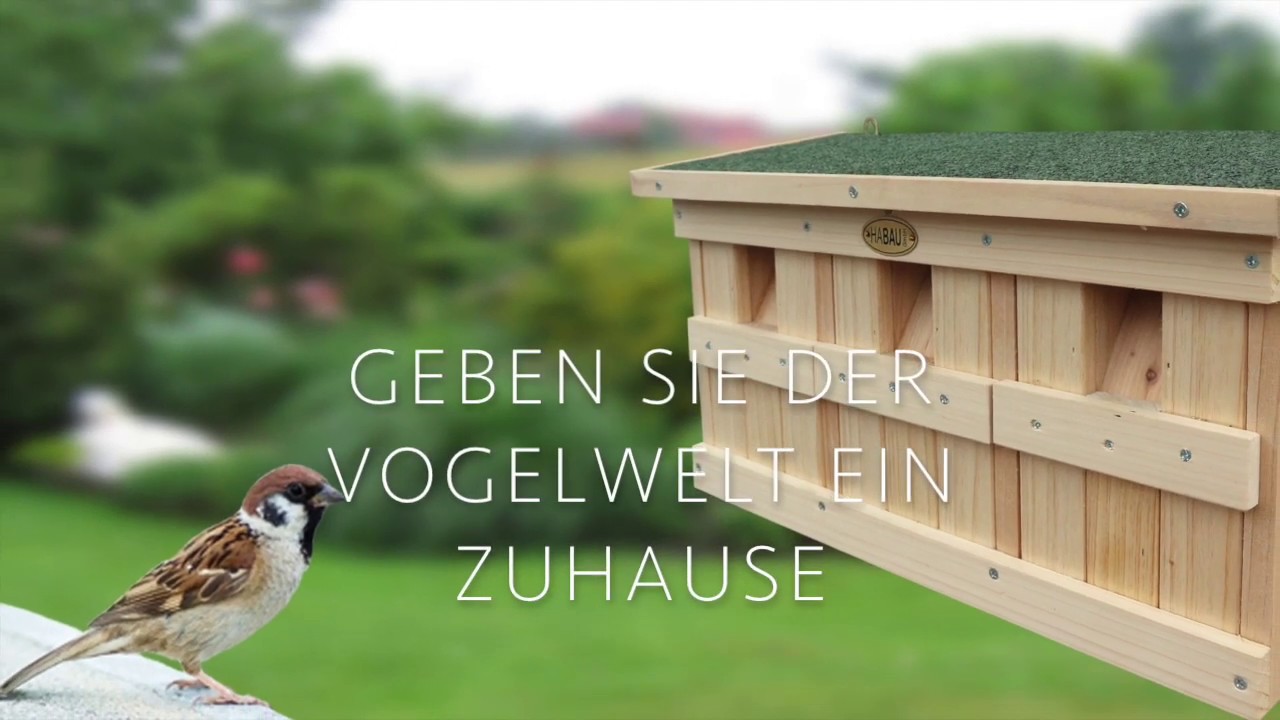 Spatzen bauen sich im HABAU Nistkasten ihr Nest!