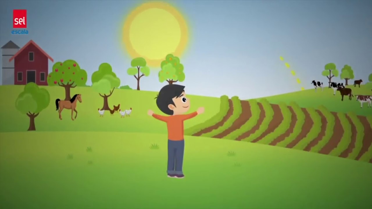 Vídeo Explicativo - Pontos Cardeais