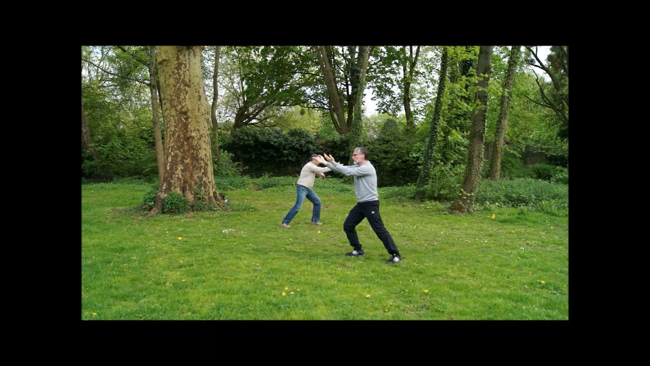 Wudang / Practical Tai Chi Chuan: Kurze Handform, rechts und links