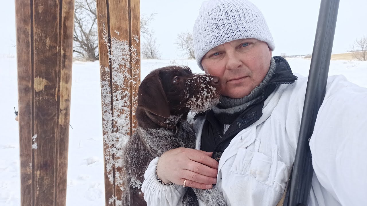 Первая Охота с Дратхааром 22 февраля 2023 г                            #охота#с#дратхааром#