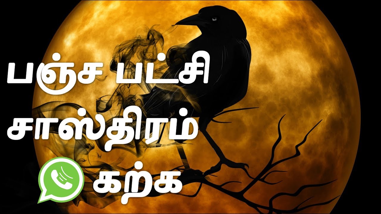 Pancha Patchi Sastram in Tamil | பஞ்சபட்சி சாஸ்திரம் ஜோதிடம்  | Pancha Pakshi Shastra in Tamil