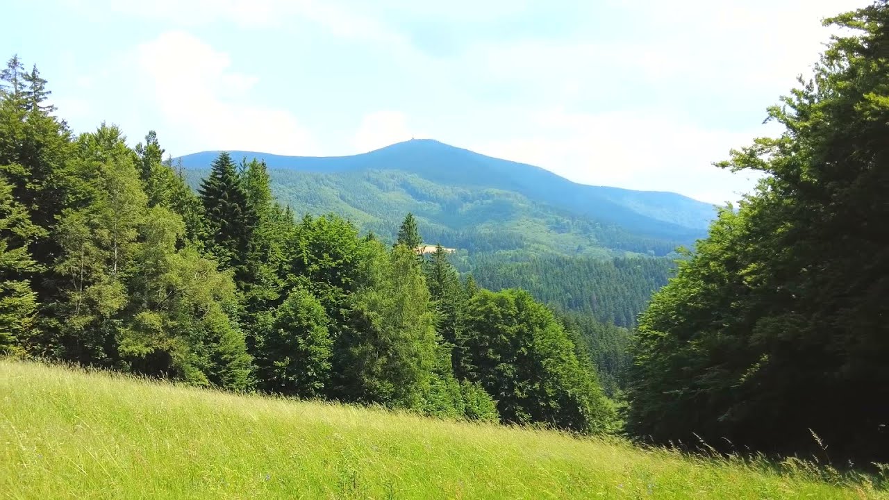 Letní tip na výlet - Beskydy - Lysá hora, Ostravice, Přehrada Šance, Ráj dřevěných soch