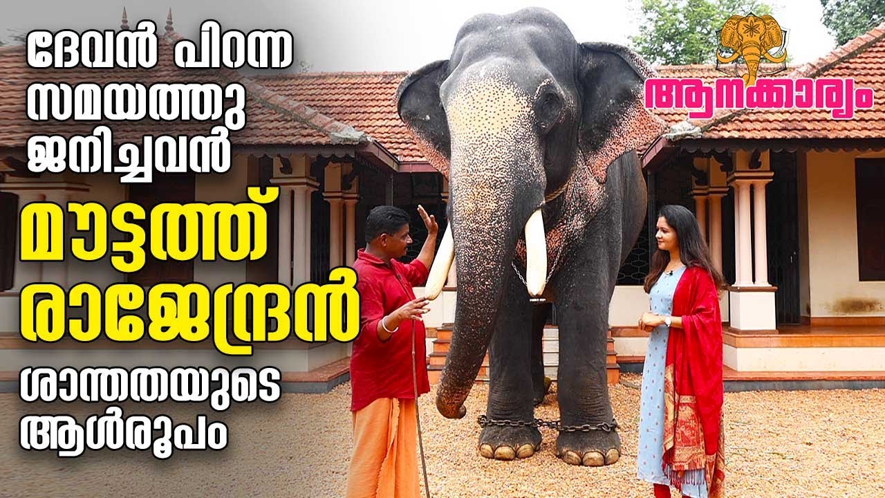 EP 68 | ദേവൻ പിറന്ന സമയത്തു ജനിച്ചവൻ മൗട്ടത്ത് രാജേന്ദ്രൻ ശാന്തതയുടെ ആൾരൂപം | Mouttath Rajendran