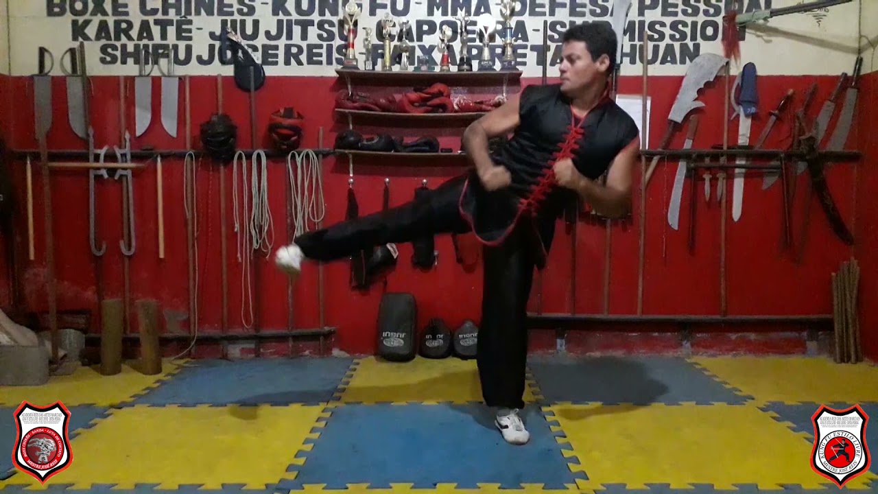 Chutes da Faixa Branca a Faixa Roxa do Kung Fu