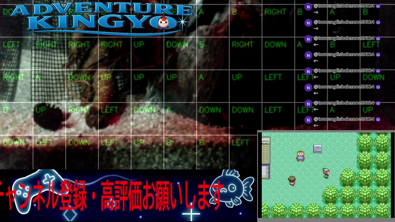 【ポケモンエメラルド】金魚がゲームをプレイ!? 🐟 視聴者コメントで動く参加型ライブ配信 〜Adventure Kingyo〜 パート154 2026-03-03