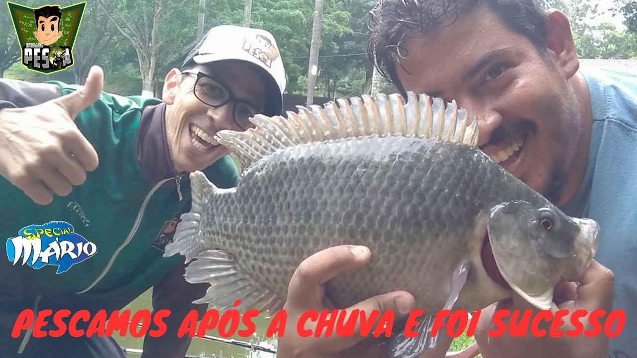 #289   PESQUEIRO COM OPÇÕES DE PESCA ESPORTIVA E DIÁRIA - PESQUEIRO PARAÍSO