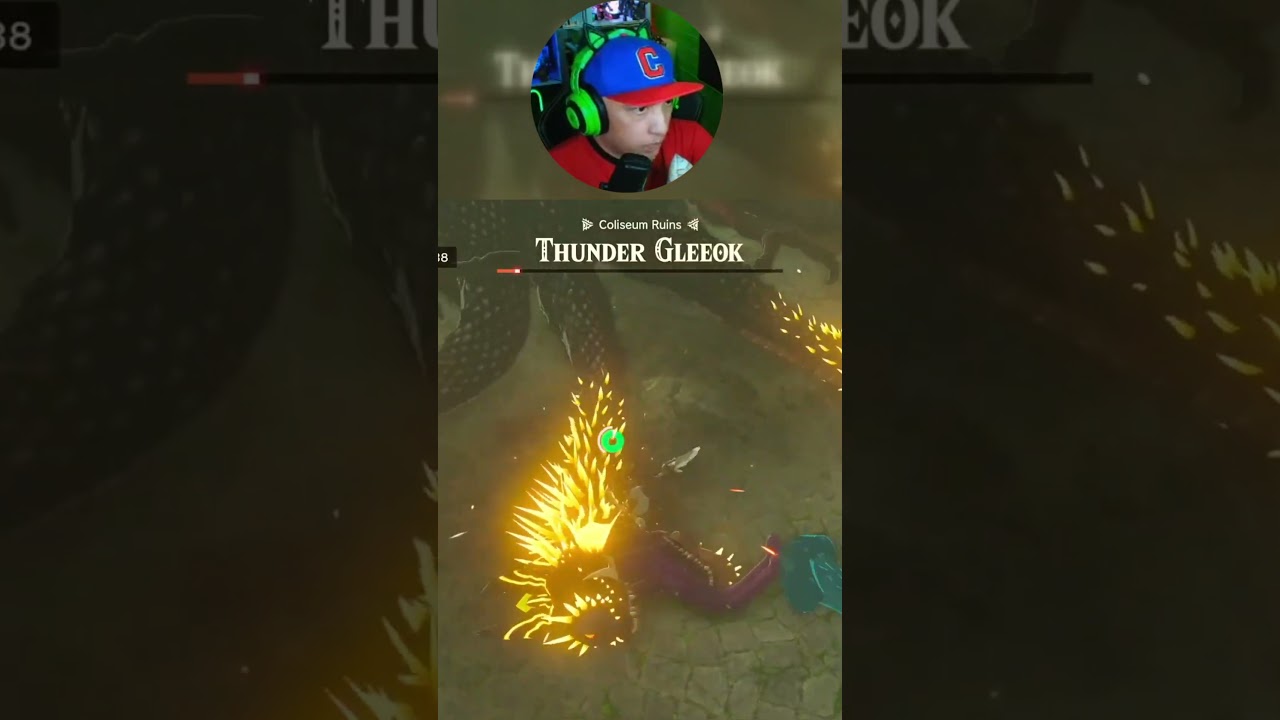 #zeldatearsofthekingdom THUNDER GLEEOK #gaming #freefire #gamer #gameplay #games