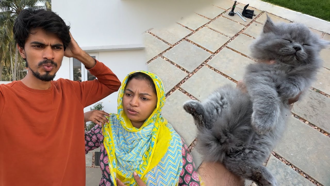 we LOST one NIKKI’s KUTTY....💔