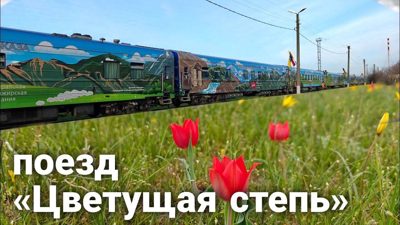 В Калмыкию! Туристический поезд №928 