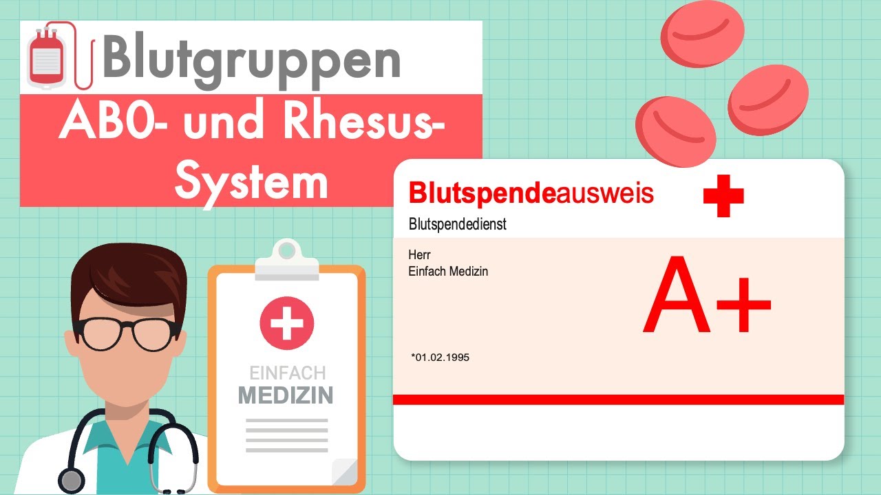 Blutgruppen - AB0- und Rhesus-System einfach erklärt