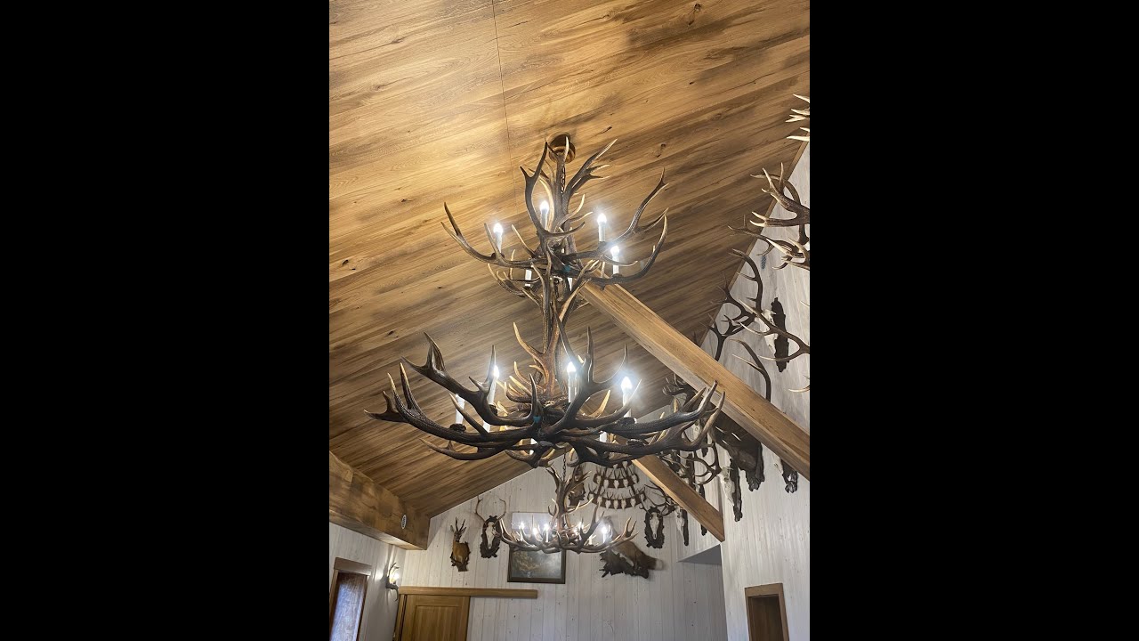Antler Furniture  Antler chandelier 190cm X 190cm