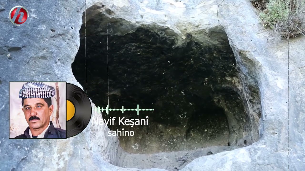 nayif kesani şahıno