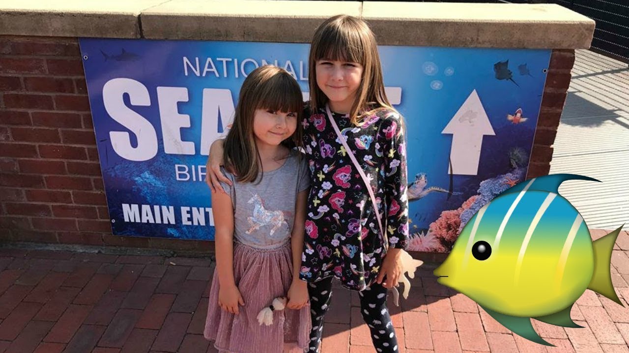Our Fun Family Day Out at SEALIFE Birmingham