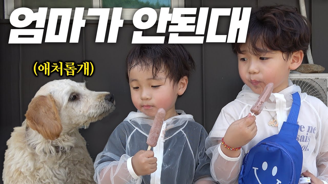 자급자족을 위해 텃밭을 만드는 영농가족🔥ㅣ시골강아지ㅣ모종구입👩🏻‍🌾ㅣ힐링브이로그ㅣ일상ㅣ아이스크림먹방ㅣ시골생활ㅣ수영장ㅣ주말보내기ㅣ장마준비ㅣ여름나기