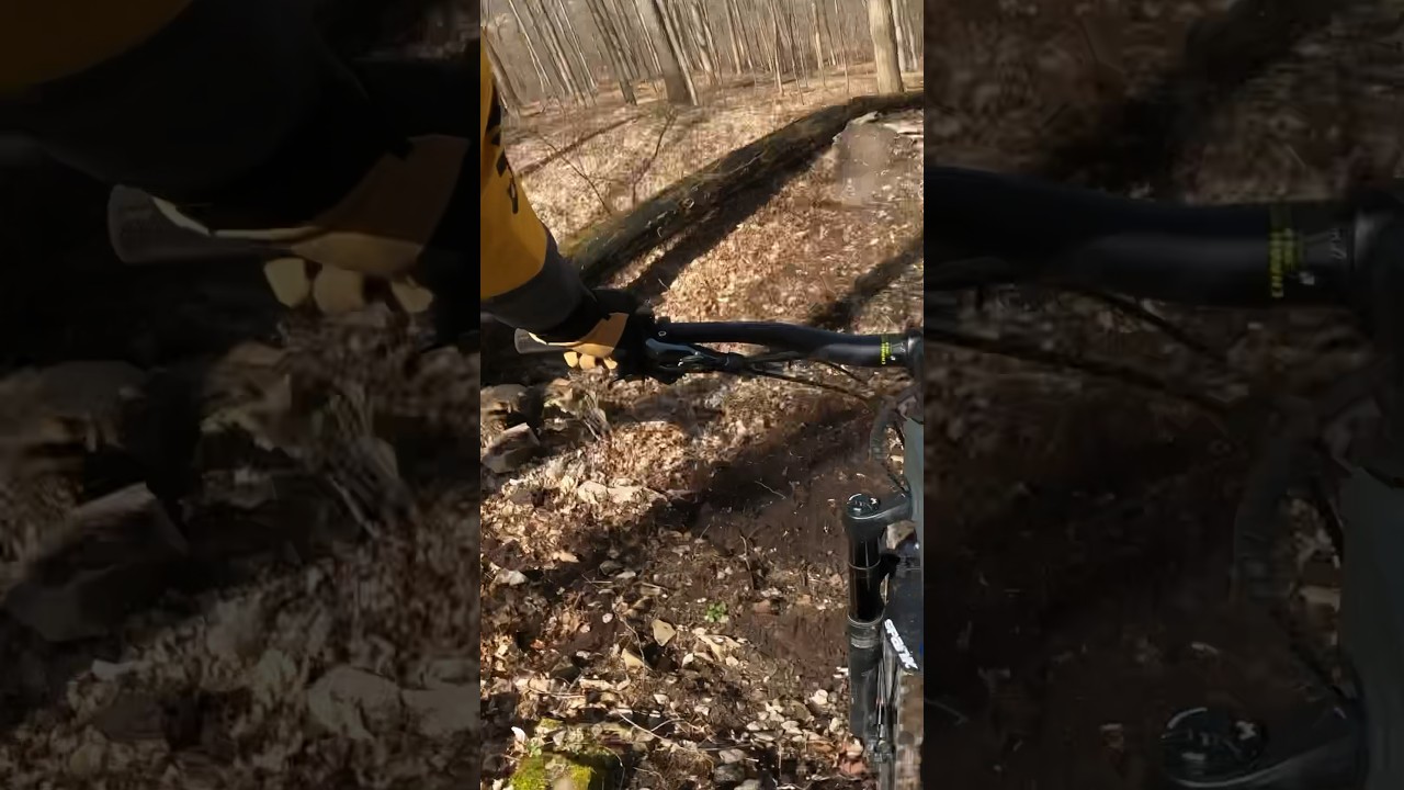 Mtb tech line to rock drop to jump over tree #mtbshorts #mtb #downhillmtb