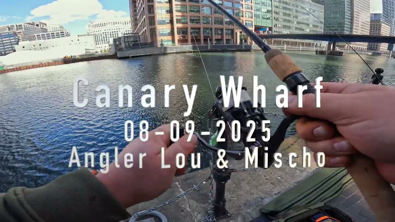 Urban Fishing at Canary Wharf | Bream & Perch on Krill Mix | 8th Sept 2025 with Mischo