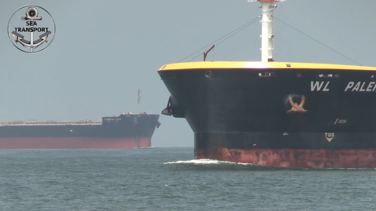 + THAN 50 SHIPS IN MOTION COMPILATION, 5000 SUBS & 1500000 VIEWS, SANTOS PORT SHIPSPOTTING #215