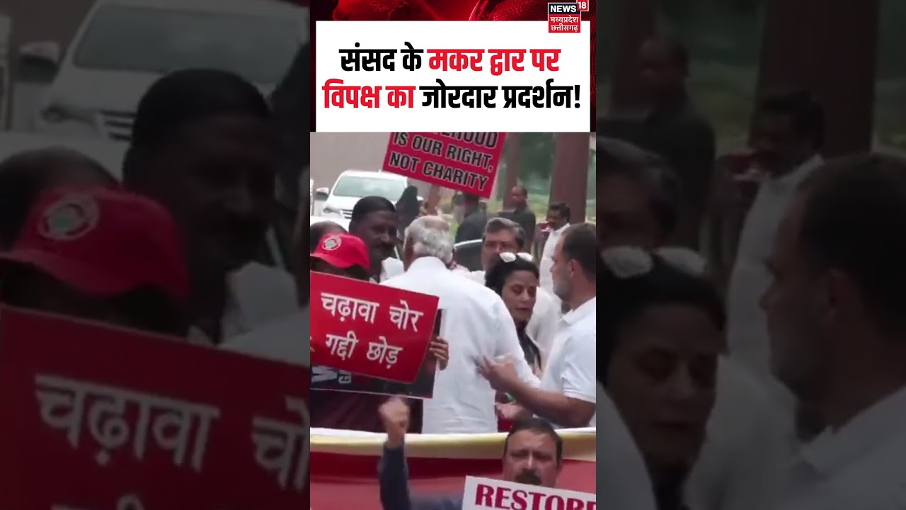 Parliament Protest : संसद के मकर द्वार पर विपक्ष का जोरदार प्रदर्शन! | N18S | Shorts