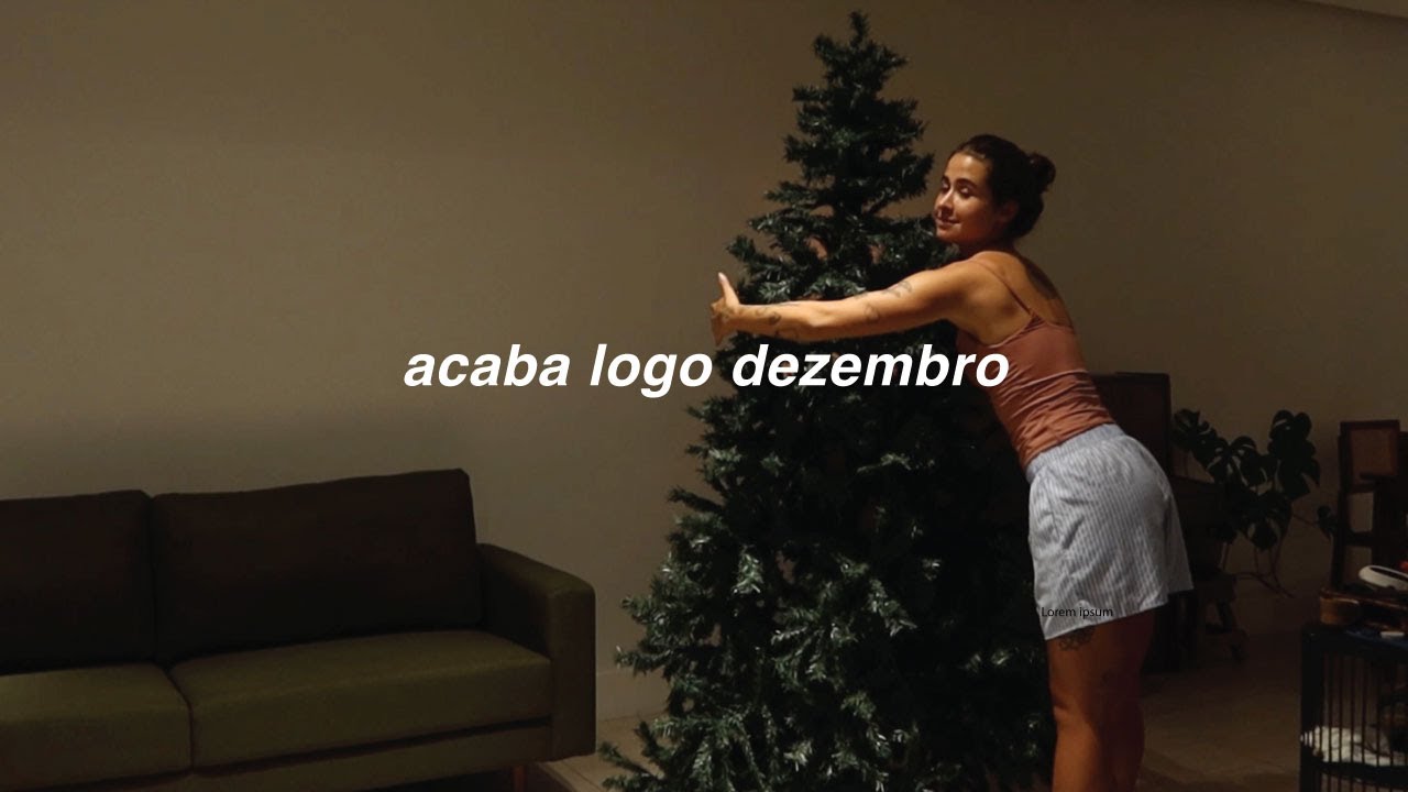 primeiro vlog oficial na casa nova